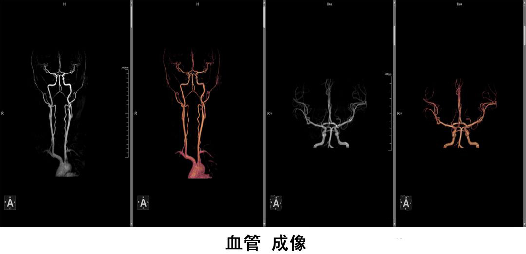 微信图片_20230426084435.png