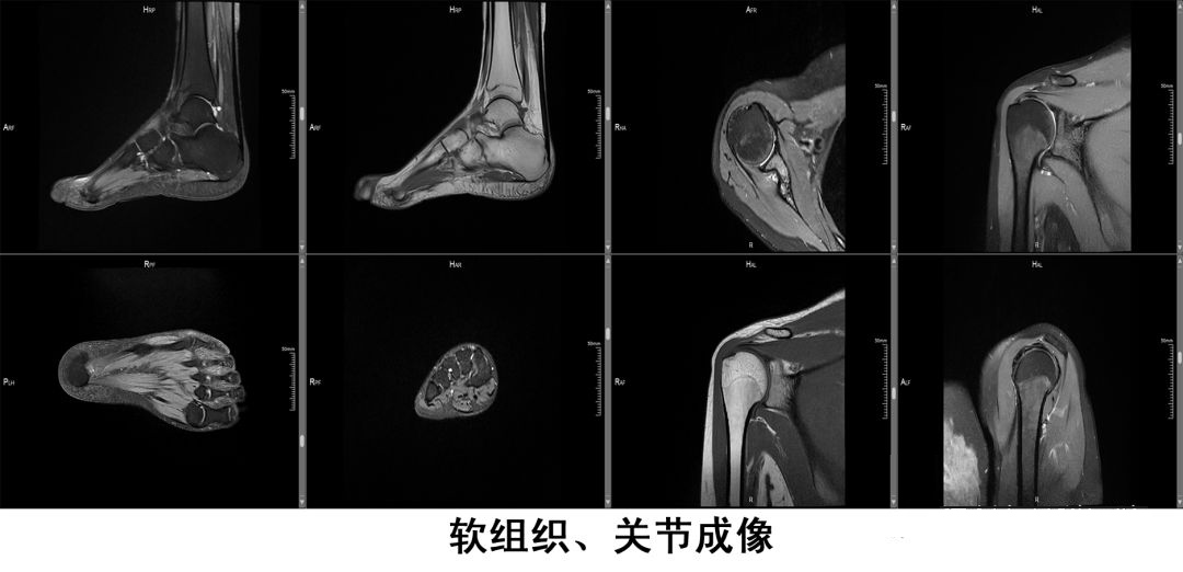 微信图片_20230426084518.png